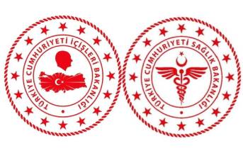 Türk Ajans Logo Tasarım